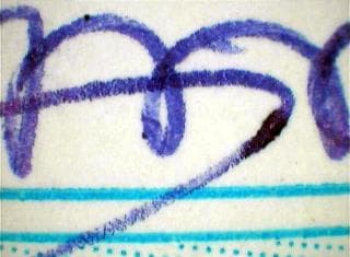 CONCEITO DE ESCRITA: